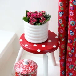 Kalanchoe 'Calandiva'®, Rot, Topf-Ø 12 Cm, Höhe Ca. 27,5 Cm, 6er-Set -Gartenbedarf Geschäft 0210350161 Kalanchoe Cal rot