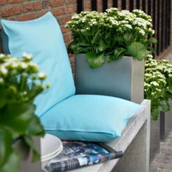 Kalanchoe 'Calandiva'®, Weiß, Topf-Ø 12 Cm, Höhe Ca. 27,5 Cm, 6er-Set -Gartenbedarf Geschäft 0210350168 Kalanchoe Cal weiss2