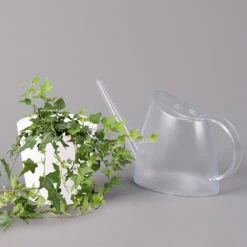 Hedera Helix In Keramiktopf Dallas Weiß, Topf-Ø 12/13 Cm, 3er-Set -Gartenbedarf Geschäft 0220650241 Hedera gruen in Topf Dallas weiss 3