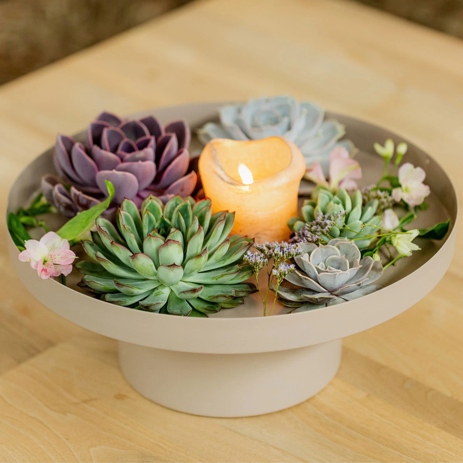 Schnittecheverien-Mix, Ø 12 Cm, 4er-Set 8 Schnittecheverien-Mix, Ø 12 Cm, 4er-Set – Bild 6