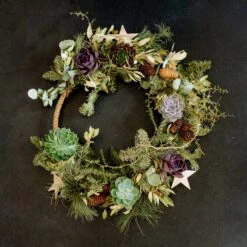 Schnittecheverien-Mix, Ø 8 Cm, 8er-Set -Gartenbedarf Geschäft 0250103364 Echeveria Mix 7 10cm in DIY Box 5 117175 2