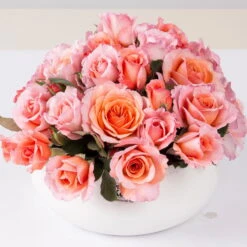 Stammrose 'Käthchen Von Heilbronn'®, Edelrose, Stammhöhe 60cm Im 7,5 Liter Topf 17 Stammrose 'Käthchen Von Heilbronn'®, Edelrose, Stammhöhe 60cm Im 7,5 Liter Topf -Gartenbedarf Geschäft 0460100700 KB Kaethchen von Heilbronn Edelrose Co 6lt1 65417