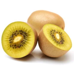 Gelbfruchtige Kiwi 'Golden Kiwi', 2er-Set, Topf 15 Cm Ø 10 Gelbfruchtige Kiwi 'Golden Kiwi', 2er-Set, Topf 15 Cm Ø -Gartenbedarf Geschäft 0480960140 0480960142 Golden Kiwi 4er Set 88165