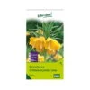 Kaiserkrone (Fritillaria Imperialis Lutea) Gelb, 3 Blumenzwiebeln 2 Kaiserkrone (Fritillaria Imperialis Lutea) Gelb, 3 Blumenzwiebeln -Gartenbedarf Geschäft 0720500237 kb fritillaria imperialis lutea gelb gr 20 3 st 1 76303