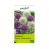 XXL Allium Mischung 'Riesenlauch Schönheiten', Weiß, Lila, 5 Blumenzwiebeln -Gartenbedarf Geschäft 0720800174 KB Kollektion Riesenlauch Schoenheiten Allium Mischung XXL 1 94238