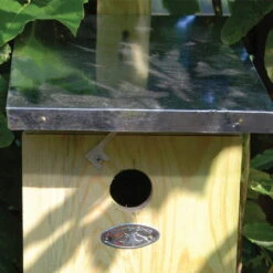 Nistkasten Kohlmeisen -Gartenbedarf Geschäft 0910150085 Nistkasten Kohlmeisen 2 web 42848