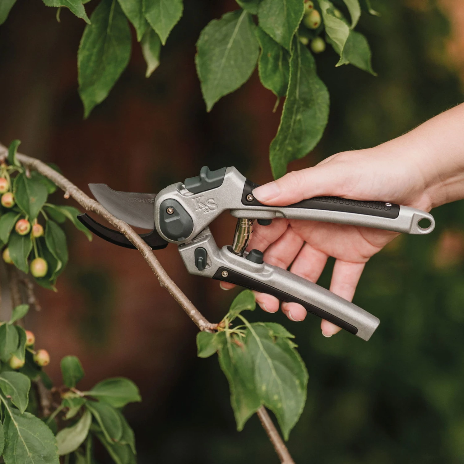 Gartenschere 'Eversharp Bypass', Carbonstahl 3 Gartenschere 'Eversharp Bypass', Carbonstahl