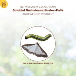 Solabiol Buchsbaumzünsler-Falle, Ausreichend Für Bis Zu 180 M² -Gartenbedarf Geschäft 0950200723 Buchsbaumzuensler Falle fuer bis zu 180qm Flaeche 1 107232