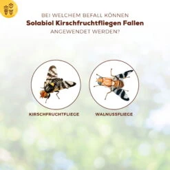 Solabiol Kirschfruchtfliegenfalle, 5er-Pack 9 Solabiol Kirschfruchtfliegenfalle, 5er-Pack -Gartenbedarf Geschäft 0950200760 Solabiol Kirschfruchtfliegenfalle 5Stueck 1 107242