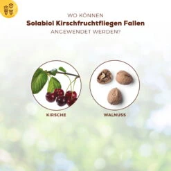 Solabiol Kirschfruchtfliegenfalle, 5er-Pack 7 Solabiol Kirschfruchtfliegenfalle, 5er-Pack -Gartenbedarf Geschäft 0950200760 Solabiol Kirschfruchtfliegenfalle 5Stueck 3 107240