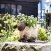 Pflanztopf 'Shelly Sheep', Ca. 26 X 35 X 15 Cm -Gartenbedarf Geschäft 0980306618 Shelly Sheep 5 99250