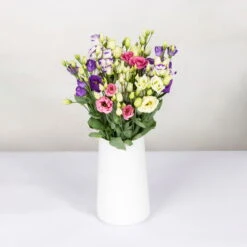 Gemischter Blumenbund 'Lisianthus' Inkl. Gratis Grußkarte -Gartenbedarf Geschäft 1015700001 Lisianthus Mix 10er Bund weiss blau rosa WS 2 94400