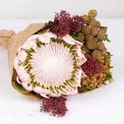 Blumenbund Protea King Mit Skimmie Und Kapgrün, Inkl. Gratis Grußkarte 9 Blumenbund Protea King Mit Skimmie Und Kapgrün, Inkl. Gratis Grußkarte -Gartenbedarf Geschäft 1025700017 Strauss Protea King mit Skimmia 2 1 101678