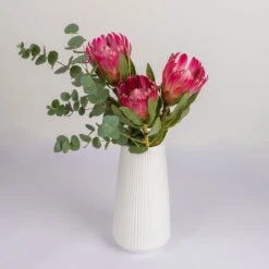 Blumenbund Protea 'Silvia' & Eukalyptus, Inkl. Gratis Grußkarte -Gartenbedarf Geschäft 1025700018 Strauss Protea Silvia mit Cinerea 2 102267