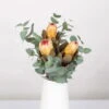 Blumenbund Protea & Eukalyptus, Inkl. Gratis Grußkarte -Gartenbedarf Geschäft 1025700019 Strauss Protea Grandiflora 1 1 101680