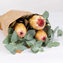 Blumenbund Protea & Eukalyptus, Inkl. Gratis Grußkarte -Gartenbedarf Geschäft 1025700019 Strauss Protea Grandiflora 2 1 101682