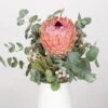 Blumenbund Protea Barbigera Mit Eukalyptus Und Brunia, Inkl. Gratis Grußkarte -Gartenbedarf Geschäft 1025700025 Strauss Protea Barbi Brun 1 101700