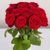 Blumenbund Mit Rosen 'Red Naomi', 15er-Bund, Rot, Inkl. Gratis Grußkarte -Gartenbedarf Geschäft 1045500003 Rose Red Naomi 15er Bund 60cm 2 1 d 100188