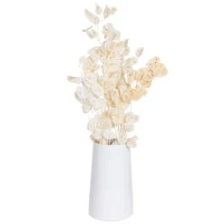 Silbertaler, Getrocknet, Lunaria, Ca. 80 Cm Lang -Gartenbedarf Geschäft 1055300008 Lunaria weiss mit Tuete 1 83201