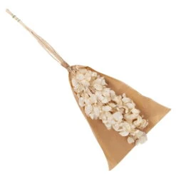 Silbertaler, Getrocknet, Lunaria, Ca. 80 Cm Lang -Gartenbedarf Geschäft 1055300008 Lunaria weiss mit Tuete 83200