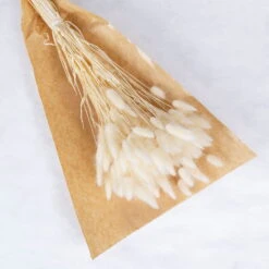 Samtgras Im Bund, Gebleicht Und Getrocknet, Ca. 65 Cm 6 Samtgras Im Bund, Gebleicht Und Getrocknet, Ca. 65 Cm -Gartenbedarf Geschäft 1055300010 Lagurus gebleicht 1 89167