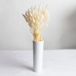 Samtgras Im Bund, Gebleicht Und Getrocknet, Ca. 65 Cm 7 Samtgras Im Bund, Gebleicht Und Getrocknet, Ca. 65 Cm -Gartenbedarf Geschäft 1055300010 Lagurus gebleicht 2 89168