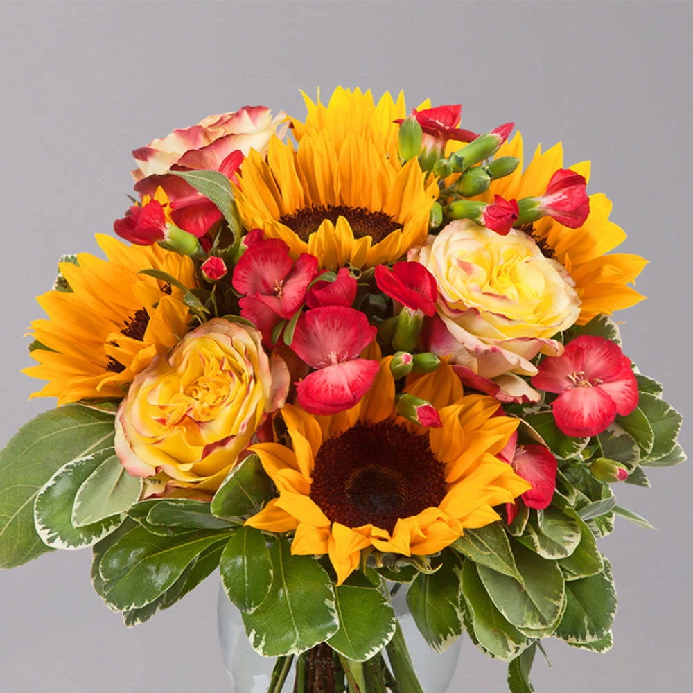 Blumenstrauß 'Viel Glück' Inkl. Gratis Grußkarte 3 Blumenstrauß 'Viel Glück' Inkl. Gratis Grußkarte