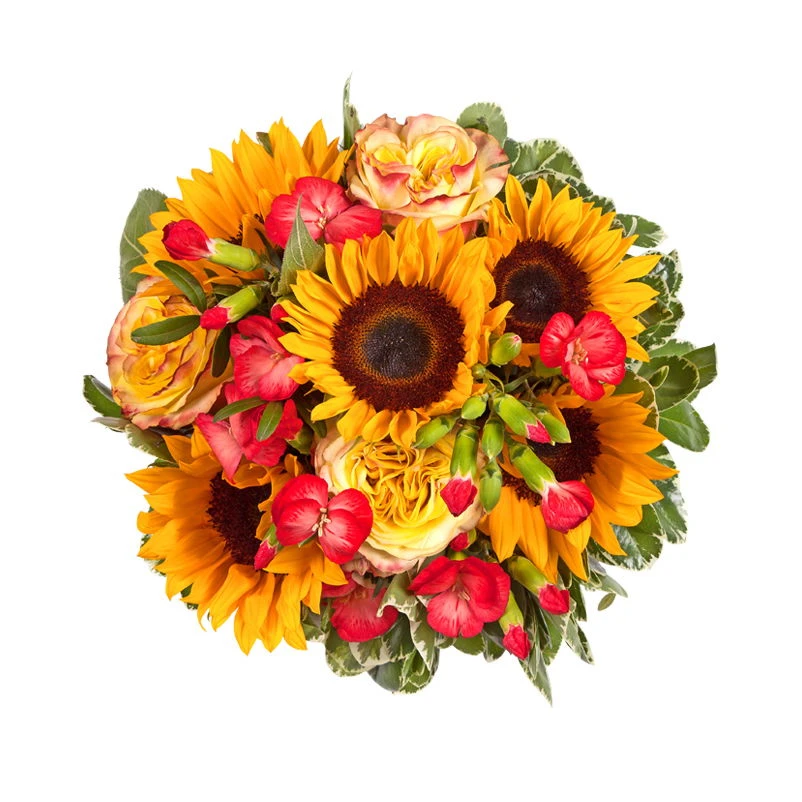 Blumenstrauß 'Viel Glück' Inkl. Gratis Grußkarte 5 Blumenstrauß 'Viel Glück' Inkl. Gratis Grußkarte – Bild 3