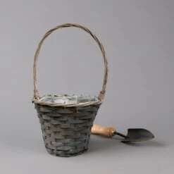 Chrysantheme Gelb Im Henkelkorb, Topf-Ø 19 Cm -Gartenbedarf Geschäft 1530200290 291 292 293 294 Chrysanthemum im Henkelkorb 19 21 1 126587