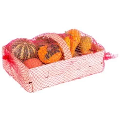 Kürbisse Im Spankorb, Verschiedene Sorten, 2 Körbe -Gartenbedarf Geschäft 1630100025 Kuerbisse im Spankorb NR versch Sorten 1 56804