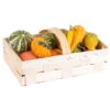 Kürbisse Im Spankorb, Verschiedene Sorten, 2 Körbe -Gartenbedarf Geschäft 1630100025 Kuerbisse im Spankorb NR versch Sorten 56805