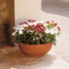 Euro 3 Plast Pflanzschale Olimpo Terra -Gartenbedarf Geschäft 3210100222 Pflanzschale Olimpo terra 50cm Erdvol 22Ltr 34296
