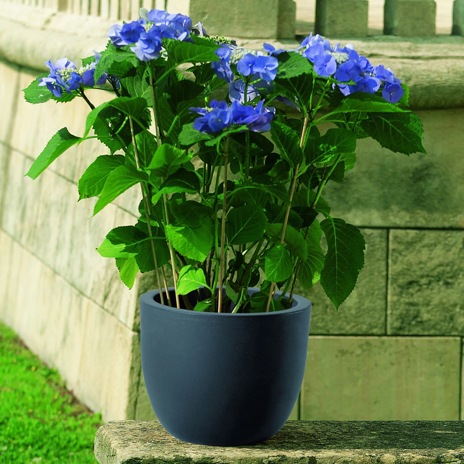 Pflanzkübel Etria Perlschwarz, Ø 24 X H 20 Cm 3 Pflanzkübel Etria Perlschwarz, Ø 24 X H 20 Cm