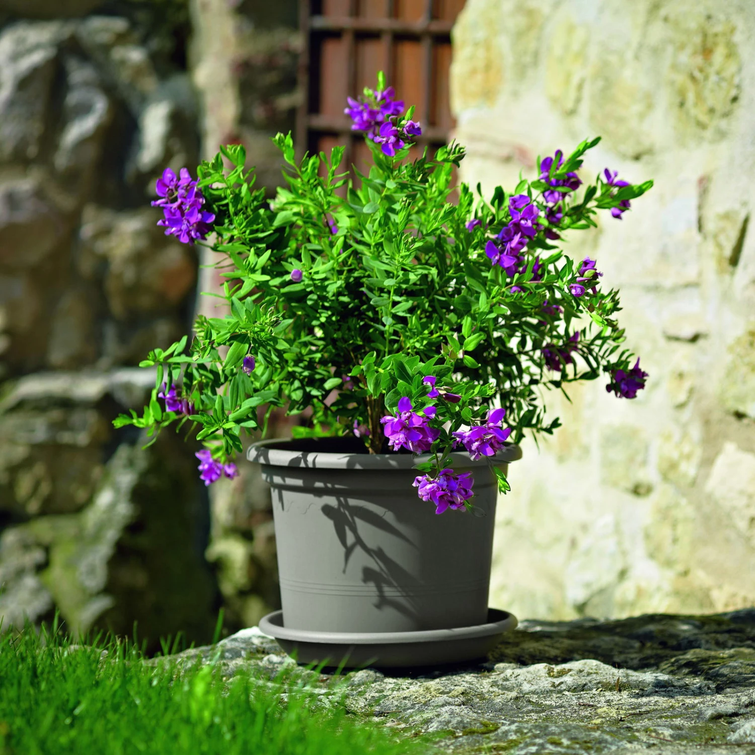 Euro 3 Plast Pflanzkübel Geo Taupe 3 Euro 3 Plast Pflanzkübel Geo Taupe