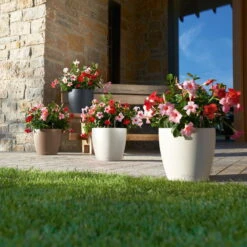 LECHUZA Pflanzgefäß 'Classico Color 70', Grau, Ø 70 X H 64,5 Cm -Gartenbedarf Geschäft 3210103919 Pflanzgefaess Classico Color 60 All in 1 schiefergrau 3 109198