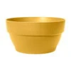 Elho Pflanzschale 'Vibia Campana', Gelb, Kunststoff, Ø33,9 X H17,4 Cm -Gartenbedarf Geschäft 3210104052 Pflanzschale Vibia Campana 34 honig gelb 104806