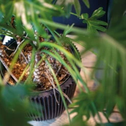 Pflanzgefäß 'Groove', Schwarz, Ø 35 X H 34 Cm 5 Pflanzgefäß 'Groove', Schwarz, Ø 35 X H 34 Cm -Gartenbedarf Geschäft 3210104102 3210104103 3210104104 pflanzgefaess pflanzvase groove 116890