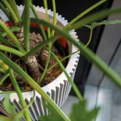 Pflanzgefäß 'Groove', Elfenbein, Ø 35 X H 34 Cm 7 Pflanzgefäß 'Groove', Elfenbein, Ø 35 X H 34 Cm -Gartenbedarf Geschäft 3210104106 3210104107 3210104108 pflanzgefaess pflanzvase groove 116896