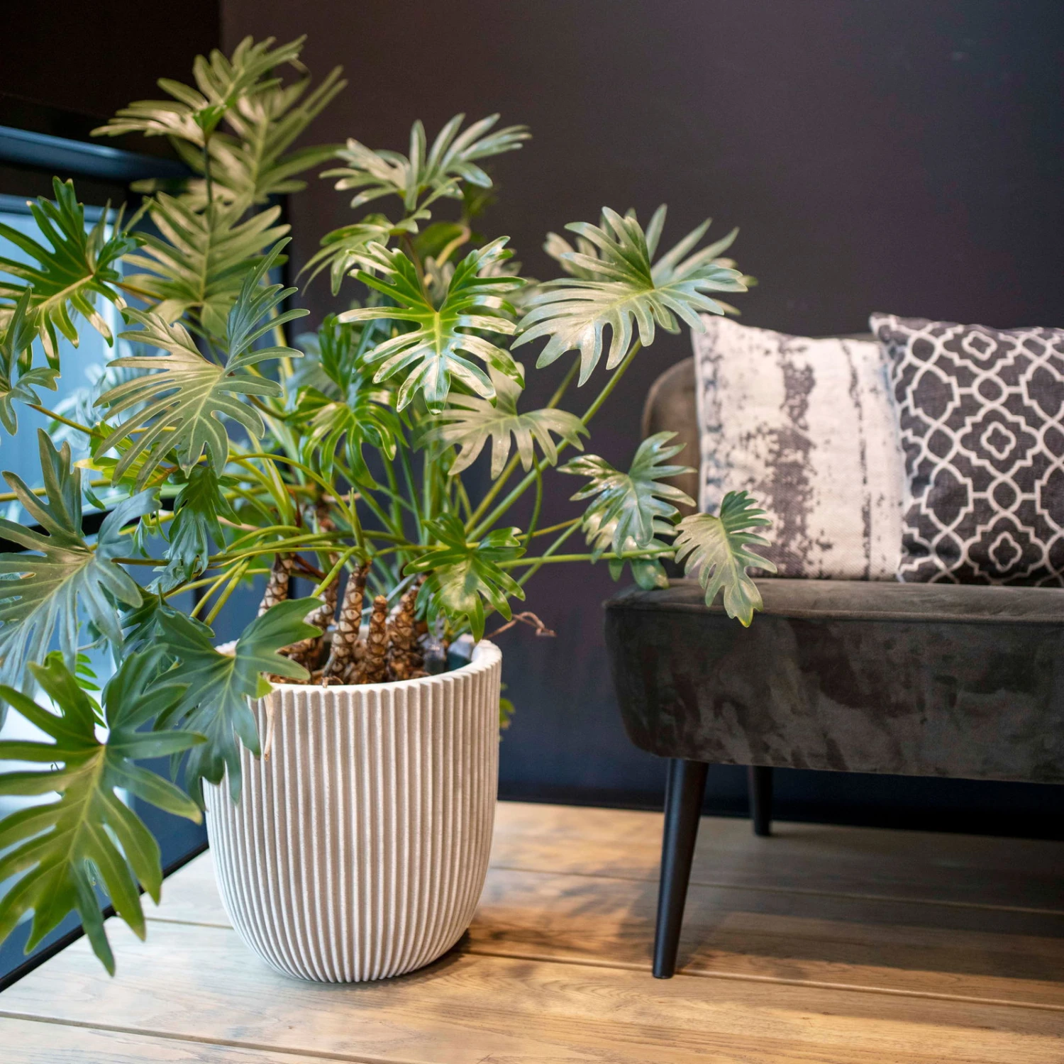 Pflanzgefäß 'Groove', Elfenbein, Ø 35 X H 34 Cm 4 Pflanzgefäß 'Groove', Elfenbein, Ø 35 X H 34 Cm – Bild 2