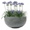 Pflanzschale Rock Line Banham, Granitgrau, Ø 35 X H 17 Cm -Gartenbedarf Geschäft 3210801301 3210801302 3210801303 Pflanzschale Rock Line Banham granit grau 2 55636 1