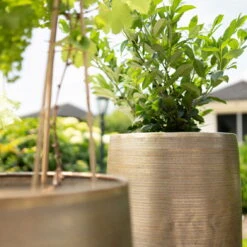 Pflanzgefäß 'Rowen', Gold, Ø 41 X H 72 Cm -Gartenbedarf Geschäft 3210801630 3210801631 3210801632 3210801633 Pflanzgefaess Rowen gold 2 115015