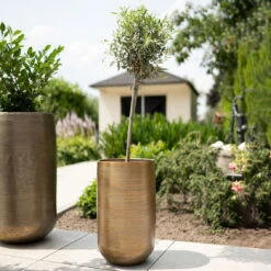 Pflanzgefäß 'Rowen', Gold, Ø 41 X H 72 Cm -Gartenbedarf Geschäft 3210801630 3210801631 3210801632 3210801633 Pflanzgefaess Rowen gold 4 115017