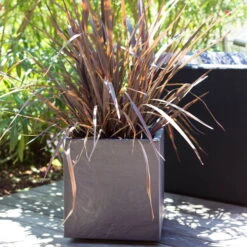 Pflanztrog 'Volcania Dado', Anthrazit, L 39,5 X B 39,5 X H 43,5 Cm -Gartenbedarf Geschäft 3230101084 Pflanztrog Volcania Dado anthrazit 39x39xH43cm 31Ltr6 75428