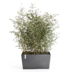 Pflanzkasten 'Paris', Grau, L 60 X B 26 X H 40 Cm -Gartenbedarf Geschäft 3230101236 pflanzkasten paris 2 117480