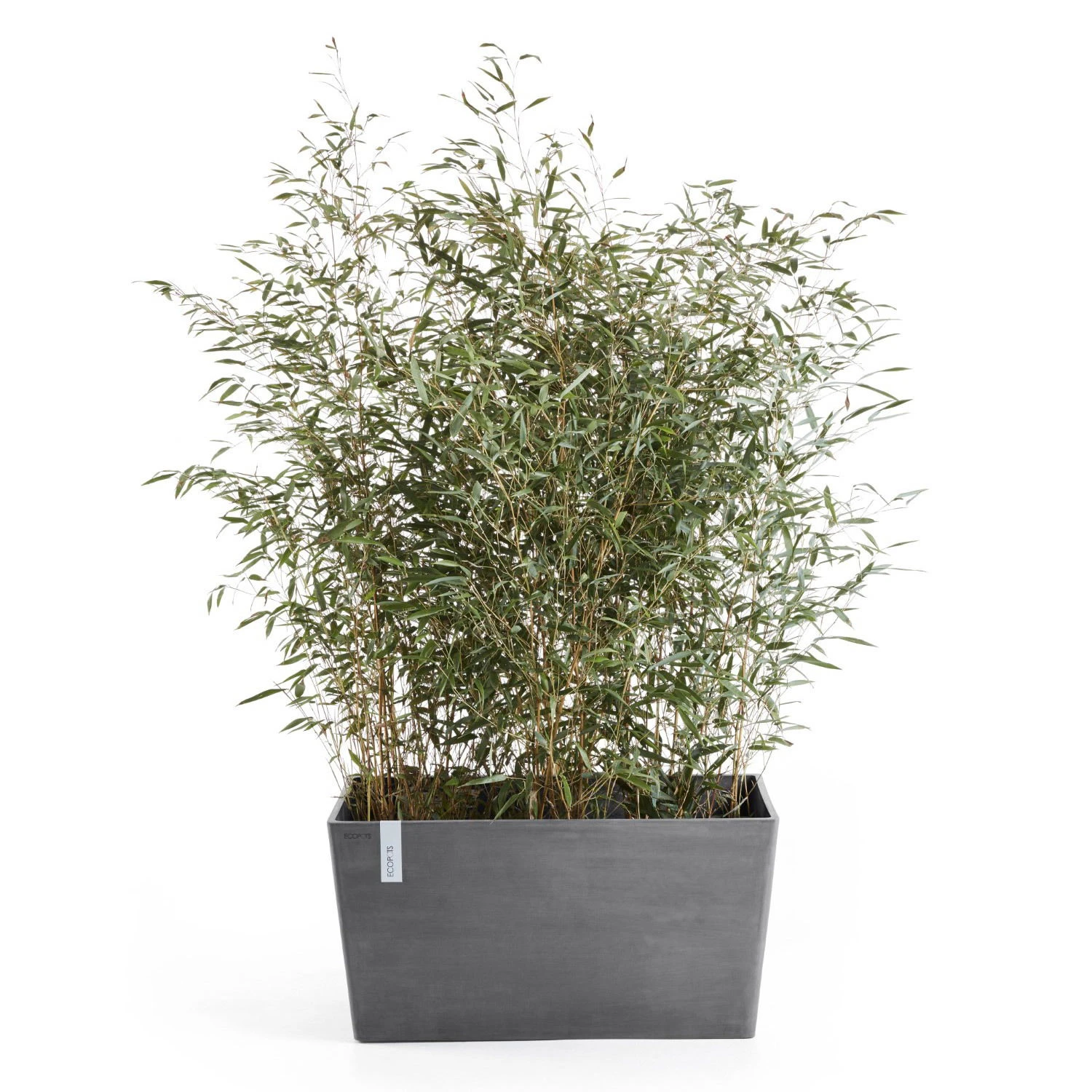 Pflanzkasten 'Paris', Grau 4 Pflanzkasten 'Paris', Grau – Bild 2