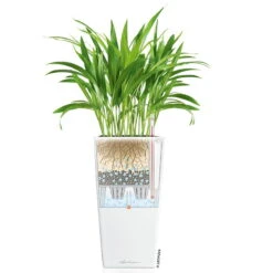 LECHUZA Cubico Premium 40, Weiß Hochglanz, All-in-One-Set, 40 X 40, H:75 Cm -Gartenbedarf Geschäft 3325100114 CubicoPremium22 weiss All in One Set 22x22x41cm RGB 7573