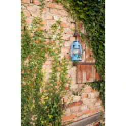 Feuerhand Sturmlaterne 'Baby Special 267', Blau, 26,5 X 13,5 X 15 Cm 19 Feuerhand Sturmlaterne 'Baby Special 267', Blau, 26,5 X 13,5 X 15 Cm -Gartenbedarf Geschäft 3990100187 feuerhand sturmlaterne 6 121567