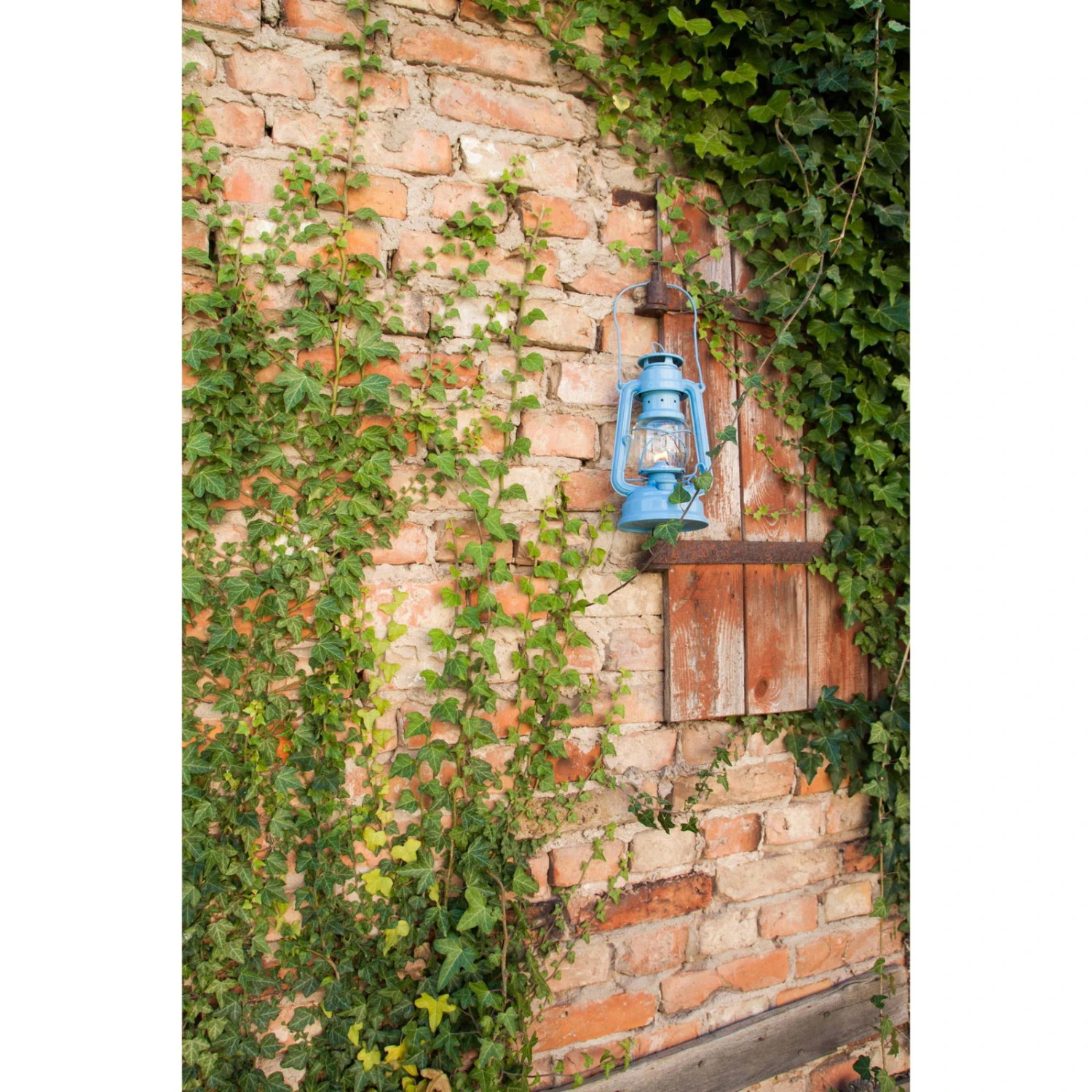 Feuerhand Sturmlaterne 'Baby Special 267', Blau, 26,5 X 13,5 X 15 Cm 9 Feuerhand Sturmlaterne 'Baby Special 267', Blau, 26,5 X 13,5 X 15 Cm – Bild 7